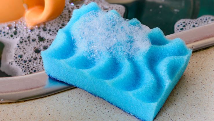 Spugnetta per i piatti