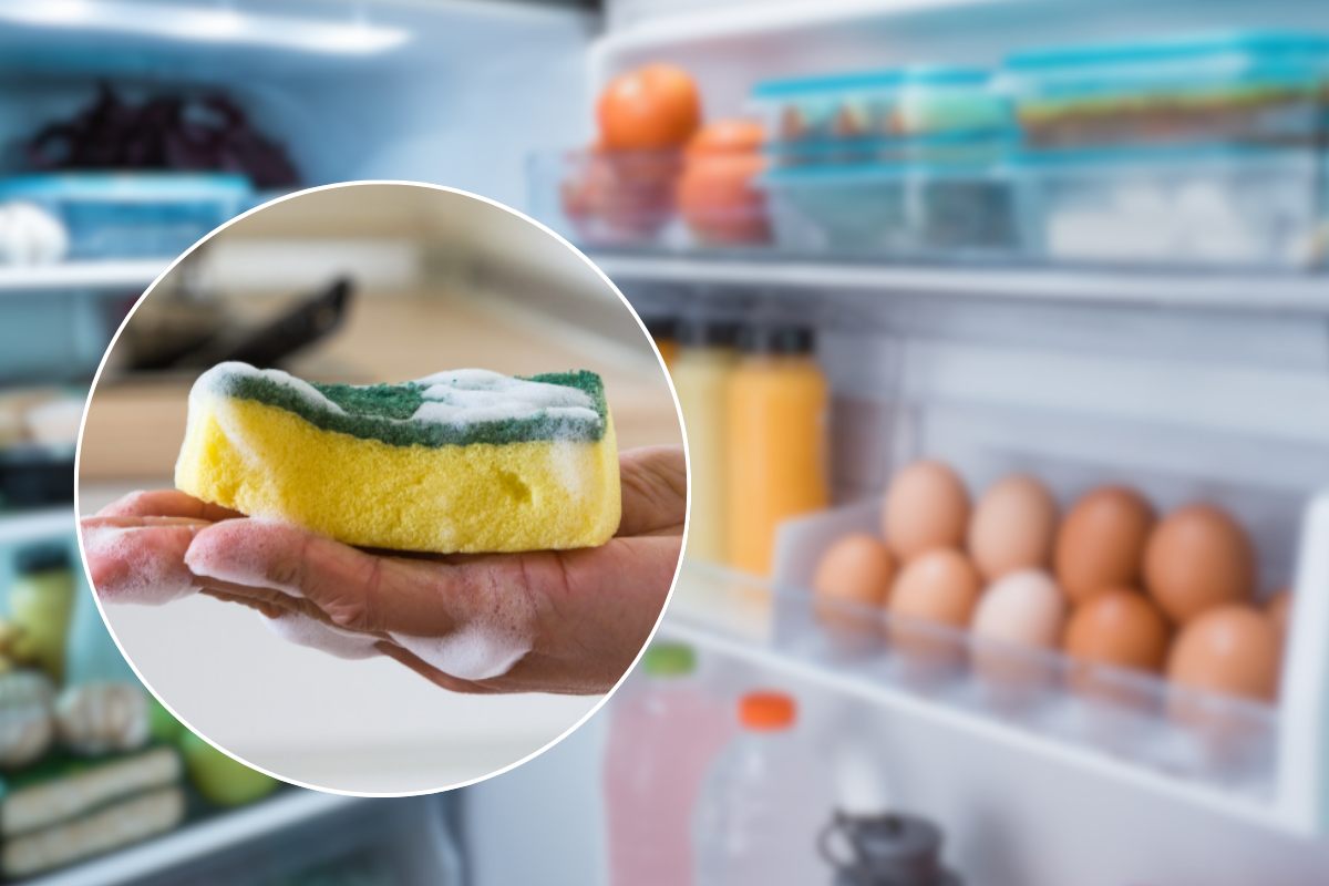 Spugnetta per piatti e frigo nello sfondo
